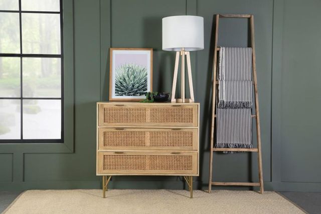 Coaster® Natural/Antique Brass Accent Cabinet 2
