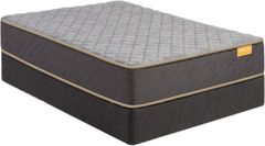 Simmons® Deep Sleep™ Wrapped Coil Firm Tight Top Twin Mattress in a Box