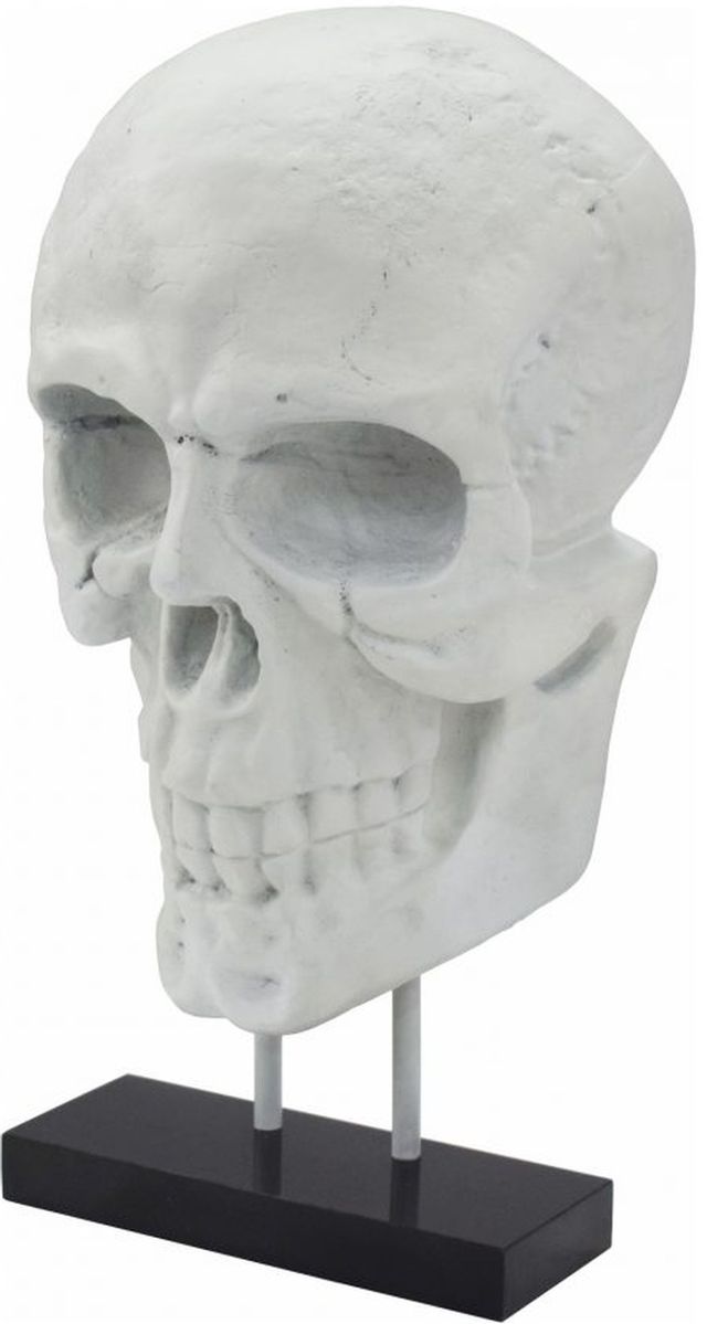 Moe's Home Collection Braincase White Skull Statue