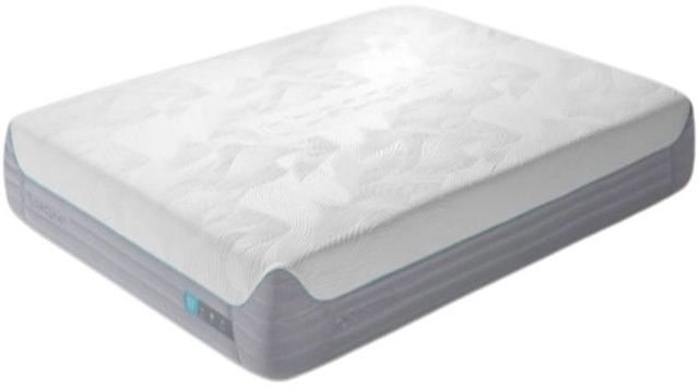 Bedgear® S7 Performance® Memory Foam Plush Tight Top Twin XL Mattress in a Box