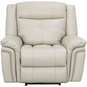 Behold Home Coley Platinum Power Recliner