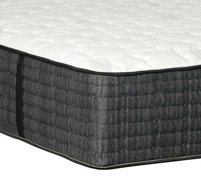 SleepFit™ Premiere Embassy 1.5 Traditional Wrapped Coil Firm Twin Mattress-0