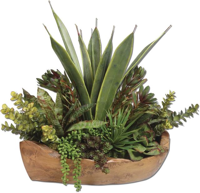 Uttermost® by Constance Lael-Linyard Salar Succulents In Teak Bowl-0