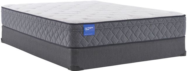 Carrington Chase by Sealy® Belgrave Top Plush Queen Mattress 52