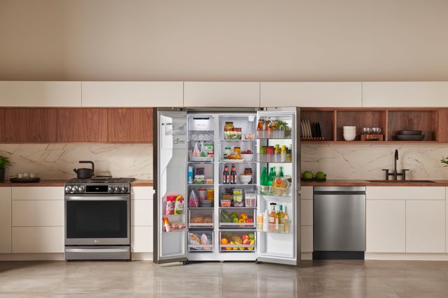 LG 23 Cu. Ft. Stainless Steel Side-by-Side Refrigerator 19