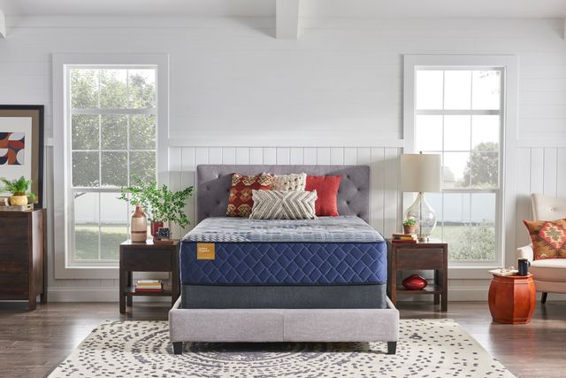 sealy precious magnificence plush mattress