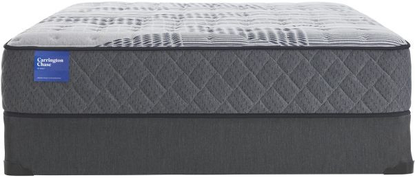 Carrington Chase by Sealy® Wensley Firm Queen Mattress 17