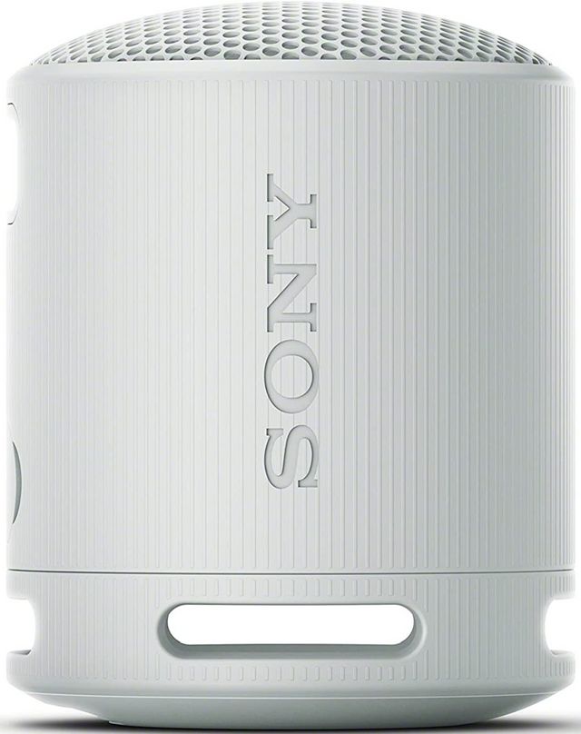 Sony® Light Gray Wireless Portable Speaker