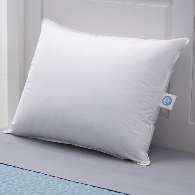 Concept ZZZ White Queen Prime Feather Fiber Pillow 16
