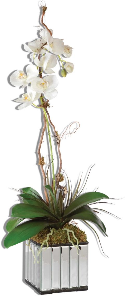 Uttermost® by Constance Lael-Linyard White Kaleama Orchids Planter-0