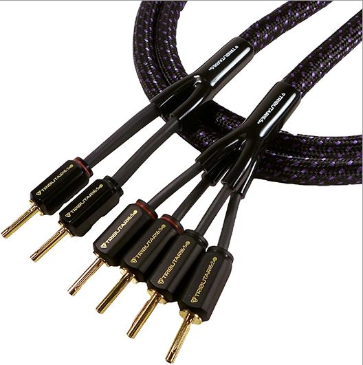 Tributaries® Series 6 12' Bi-Wire Banana Speaker Cable