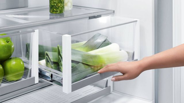 Réfrigérateur à congélateur inférieur de 36 po Fisher Paykel® de 16,8 pi³ - Prêt pour le panneau 3