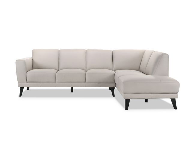Mia Leather 2 Piece Sectional-2