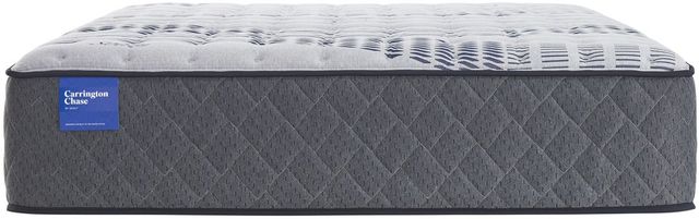 Carrington Chase by Sealy® Stoneleigh Hybrid Firm Queen Mattress 1