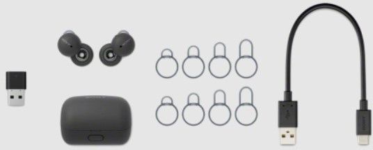 Sony® LinkBuds Gray Wireless Earbud Headphones 9