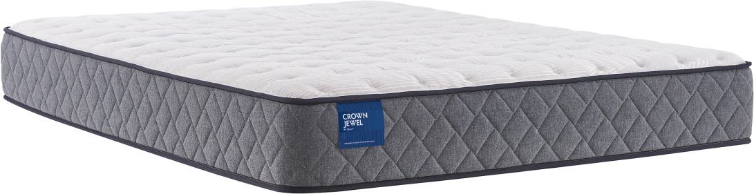 Sealy backsaver store twin mattress