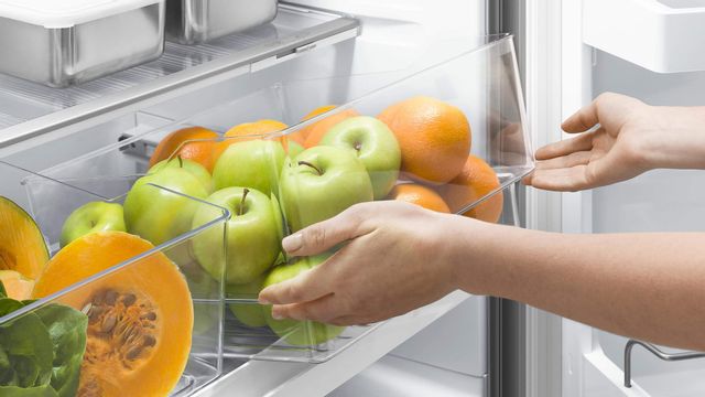 Réfrigérateur à portes françaises à profondeur de comptoir de 32 po Fisher Paykel® de 16,9 pi³ - Blanc 3