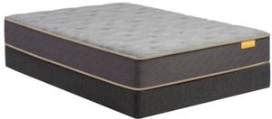 Simmons® Deep Sleep™ Wrapped Coil Plush Tight Top Full Mattress in a Box
