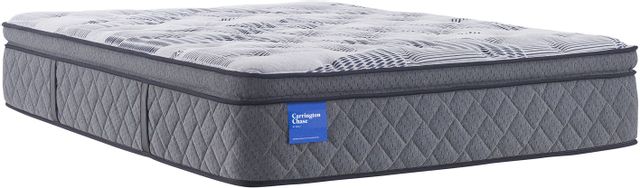 Carrington Chase by Sealy® Prestwick Wrapped Coil Plush Queen Mattress 51