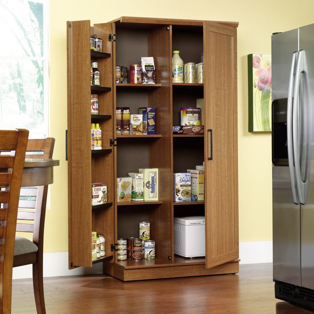 Sauder® HomePlus Dakota Oak® Cabinet, Big Sandy Superstore