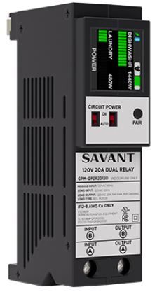 Savant Dual 20A Power Module 0