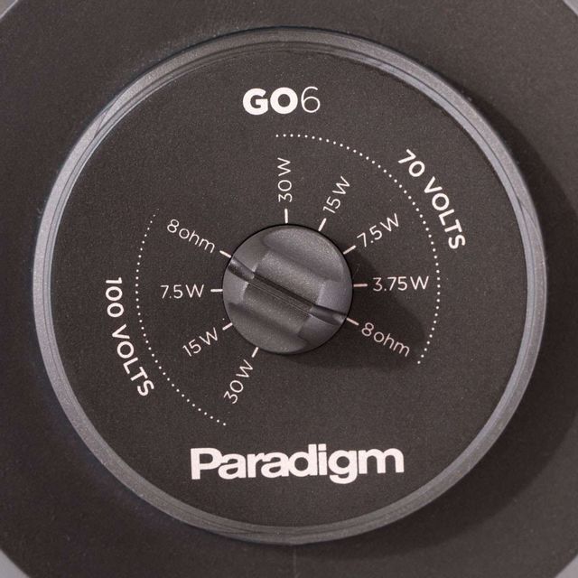Paradigm® Garden Oasis 6" Satin Bronze Satellite Speaker 7