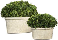 Uttermost® by Constance Lael-Linyard Oval Domes Preserved Boxwood 2-Piece Foliage