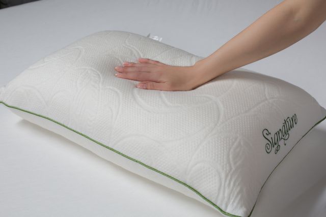 Protect-A-Bed® Naturals White Signature Lavish TENCEL® Standard Pillow 5