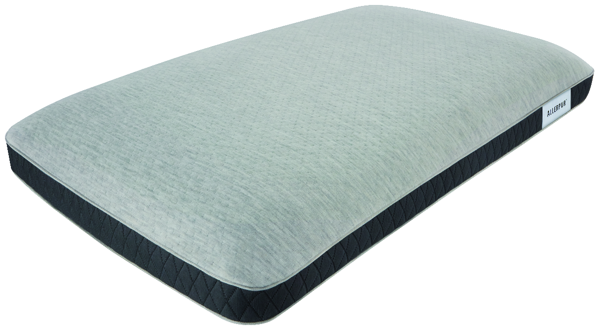 Beautyrest black shop foam pillow