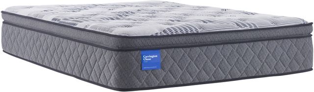 Carrington Chase by Sealy® Wensley Plush Queen Mattress 16