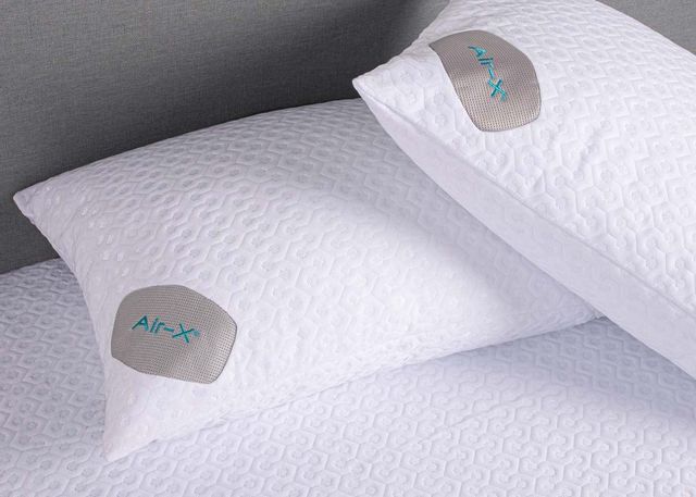 Bedgear® Dri-Tec® Air-X™ Jumbo/Queen Pillow Protector 4