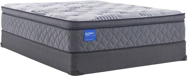 Carrington Chase by Sealy® Wensley Plush Queen Mattress 17