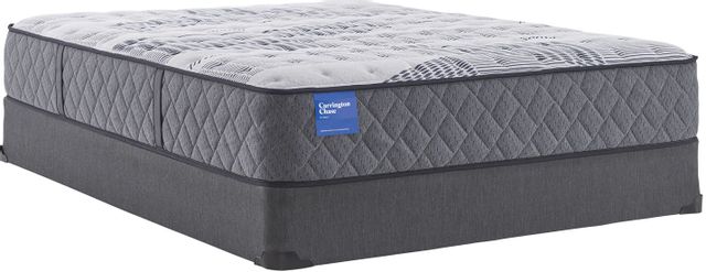 Carrington Chase by Sealy® Clairebrook Hybrid Firm Queen Mattress 39