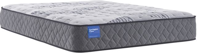 Carrington Chase by Sealy® Wensley Firm Queen Mattress 44