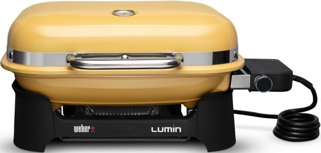 12 Electric Indoor Searing Grill for Worry-Free Cooking