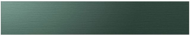 Samsung Bespoke 36" Emerald Green Steel French Door Refrigerator Middle Panel