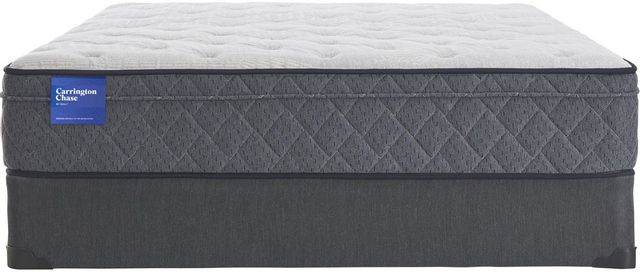 Carrington Chase by Sealy® Belgrave Top Plush Queen Mattress 53