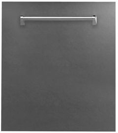 Zline 24" DuraSnow® Stainless Steel Dishwasher Panel