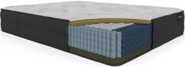 Englander® The Supreme Holburn Wrapped Coil Tight Top Firm Queen Mattress 2