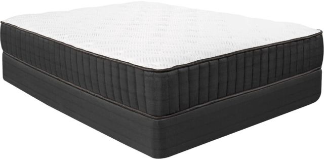 Englander® The Dreamer® Elect Wrapped Coil Tight Top Plush Twin XL Mattress 1