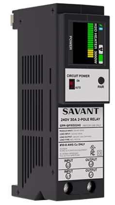 Savant Dual 30A Power Module 0