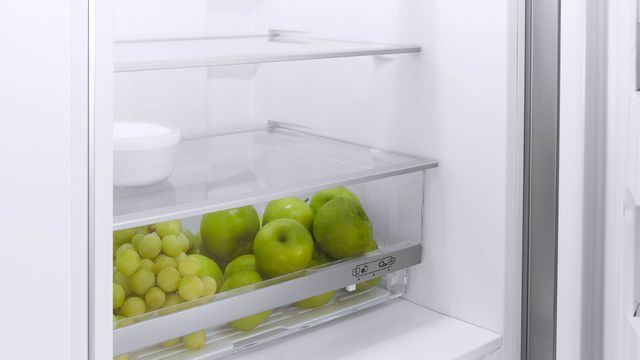 Réfrigérateur à congélateur inférieur de 24 po Fisher Paykel® de 8,0 pi³ - Prêt pour le panneau 5