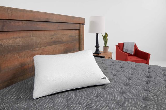 Sealy® Performance Dual-Comfort Standard Pillow 4