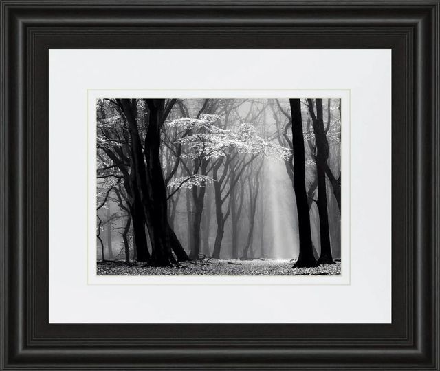 Classy Art Winter is Coming by Lars Van De Goor Wall Art | Fischer ...