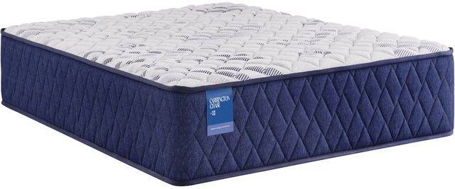 Sealy® Carrington Chase Spring Murry Hill Innerspring Firm Tight Top Queen Mattress