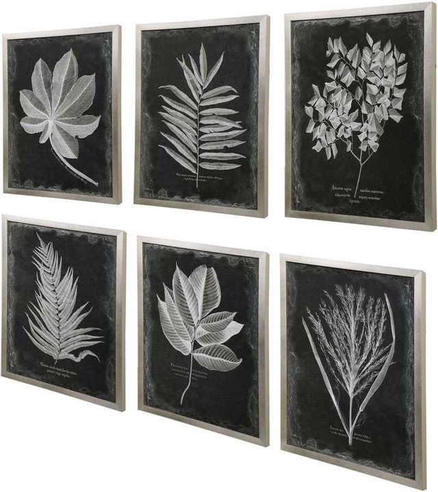 Uttermost® by Grace Feyock Foliage 6-Piece Black/White Framed Prints-1