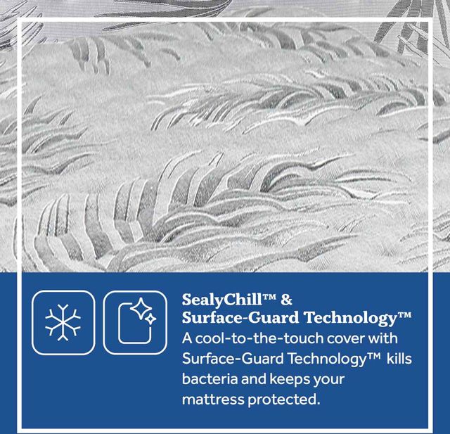 Sealy® Posturepedic® Plus Victorious II Innerspring Soft Tight Top Queen  Mattress 53