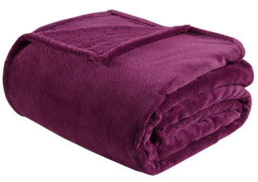 Twin/Twin XL Microlight Plush Blanket Pink