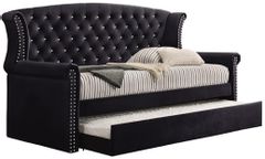 Coaster® Scarlett Black Upholstered Tufted Twin Daybed with Trundle