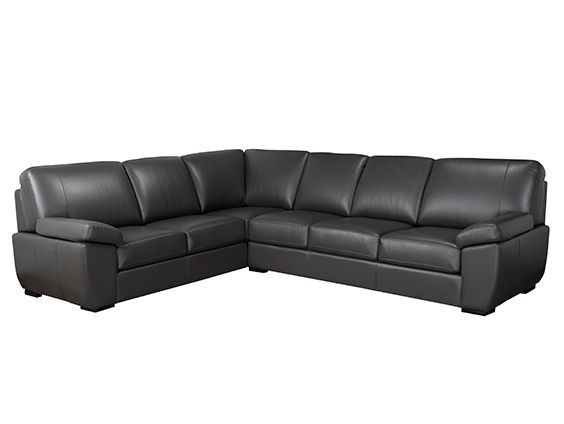Leathercraft 2 Pc. Manchester Sectional  1